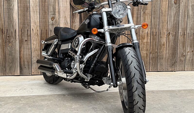 HARLEY DAVIDSON DYNA FAT BOB 103 lleno