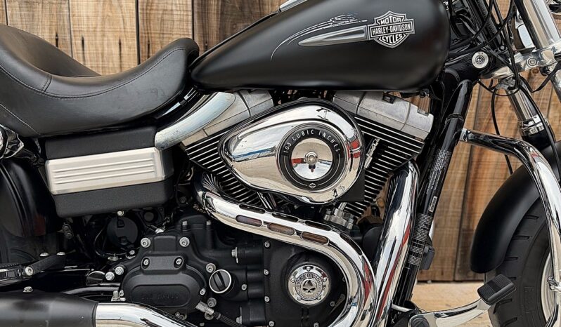 HARLEY DAVIDSON DYNA FAT BOB 103 lleno