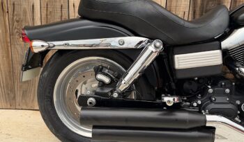 HARLEY DAVIDSON DYNA FAT BOB 103 lleno
