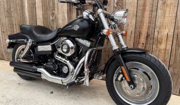 HARLEY DAVIDSON DYNA FAT BOB 103 lleno