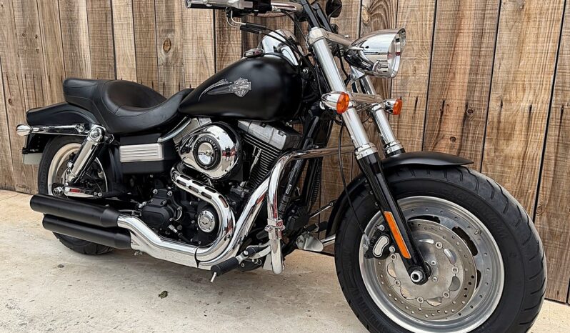 HARLEY DAVIDSON DYNA FAT BOB 103 lleno