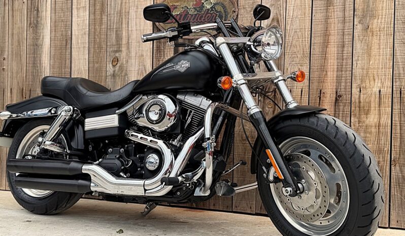 HARLEY DAVIDSON DYNA FAT BOB 103 lleno