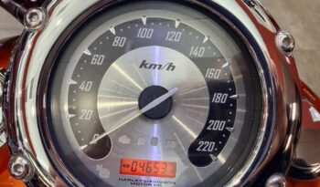 HARLEY DAVIDSON SPRINGER CLASSIC CVO lleno