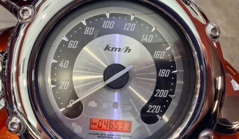 HARLEY DAVIDSON SPRINGER CLASSIC CVO lleno