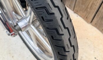 HARLEY DAVIDSON SOFTAIL ROCKER C lleno