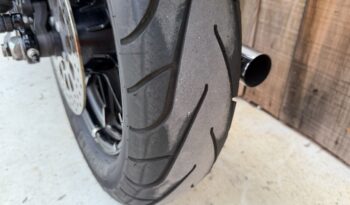 HARLEY DAVIDSON XL883 IRON A2 lleno