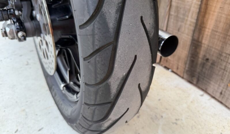 HARLEY DAVIDSON XL883 IRON A2 lleno