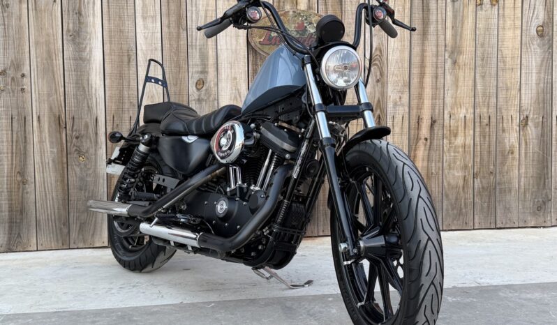 HARLEY DAVIDSON XL883 IRON A2 lleno