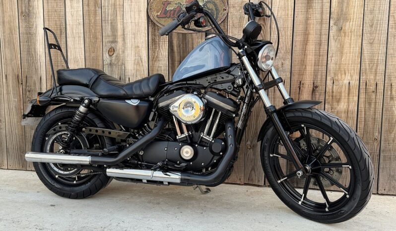 HARLEY DAVIDSON XL883 IRON A2 lleno