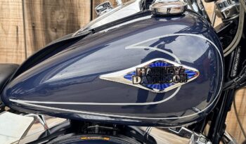 HARLEY DAVIDSON HERITAGE SOFTAIL CLASSIC lleno