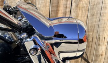 HARLEY DAVIDSON ROAD KING CUSTOM lleno