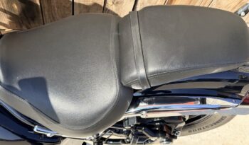SUZUKI M800 INTRUDER A2 lleno
