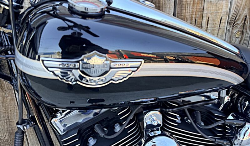 HARLEY DAVIDSON SOFTAIL DEUCE 100TH lleno