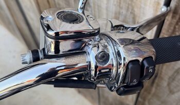 HARLEY DAVIDSON SOFTAIL DEUCE 100TH lleno