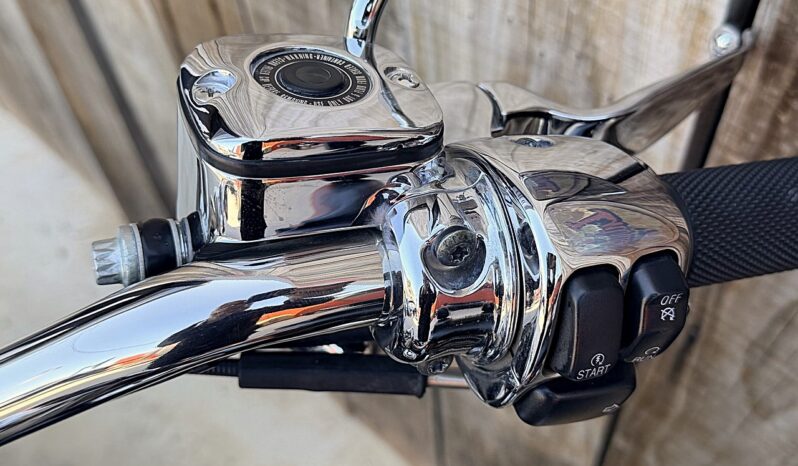 HARLEY DAVIDSON SOFTAIL DEUCE 100TH lleno