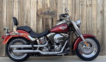 HARLEY DAVIDSON FAT BOY lleno