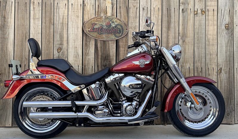 HARLEY DAVIDSON FAT BOY lleno