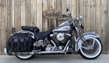 HARLEY DAVIDSON SPRINGER CLASSIC EVO lleno