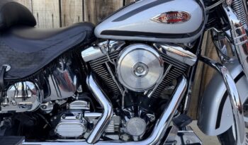 HARLEY DAVIDSON SPRINGER CLASSIC EVO lleno