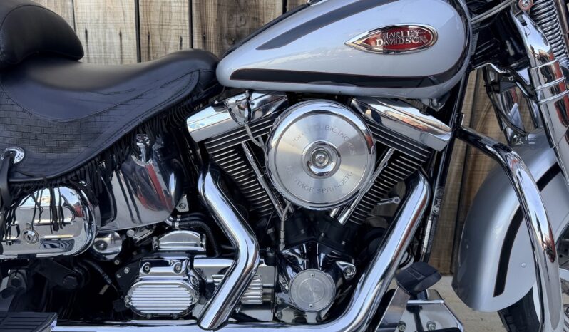 HARLEY DAVIDSON SPRINGER CLASSIC EVO lleno
