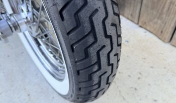 HARLEY DAVIDSON SPRINGER CLASSIC EVO lleno