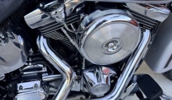 HARLEY DAVIDSON SPRINGER CLASSIC EVO lleno