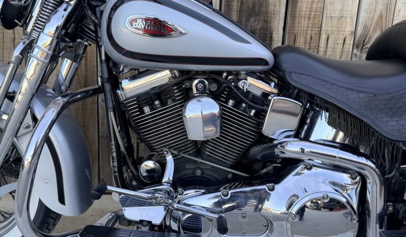HARLEY DAVIDSON SPRINGER CLASSIC EVO lleno