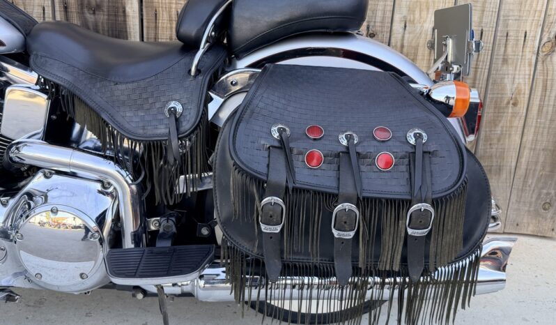 HARLEY DAVIDSON SPRINGER CLASSIC EVO lleno