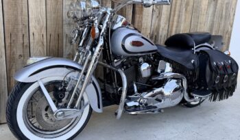 HARLEY DAVIDSON SPRINGER CLASSIC EVO lleno
