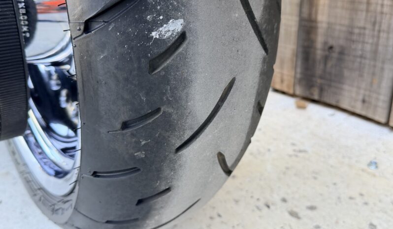 HARLEY DAVIDSON FAT BOY lleno