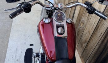 HARLEY DAVIDSON FAT BOY lleno
