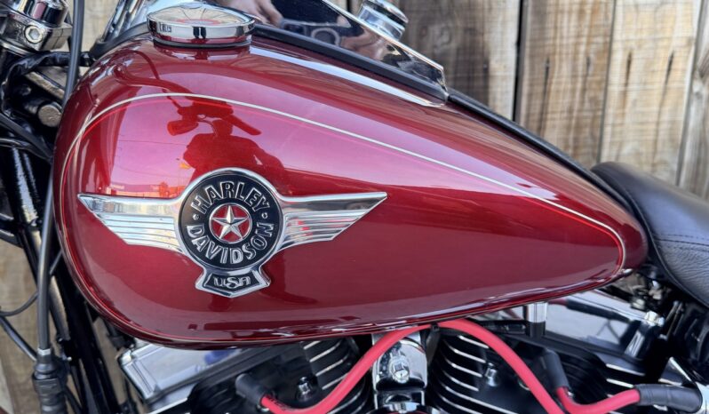 HARLEY DAVIDSON FAT BOY lleno