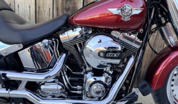 HARLEY DAVIDSON FAT BOY lleno