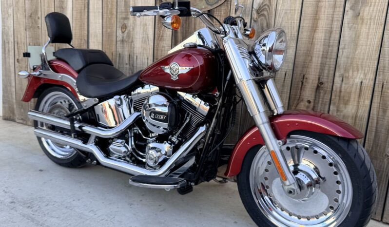 HARLEY DAVIDSON FAT BOY lleno