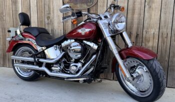 HARLEY DAVIDSON FAT BOY lleno