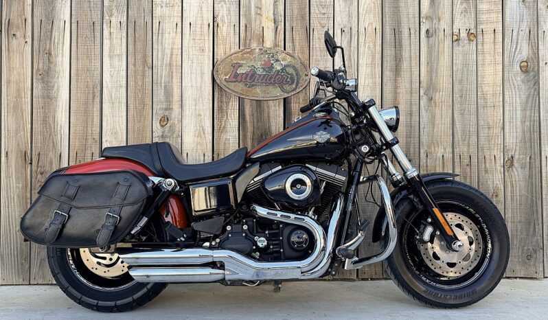 HARLEY DAVIDSON DYNA FAT BOB lleno