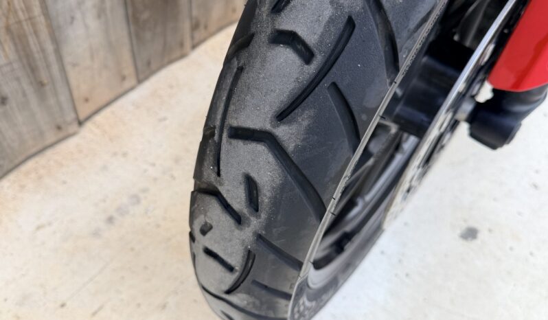 TRIUMPH TIGER 900 ARAGON EDITION lleno