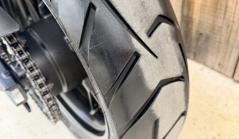 TRIUMPH TIGER 900 ARAGON EDITION lleno