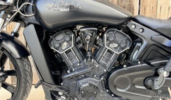 INDIAN SCOUT ROGUE 1200 lleno