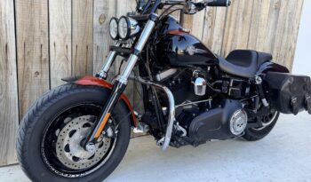 HARLEY DAVIDSON DYNA FAT BOB lleno