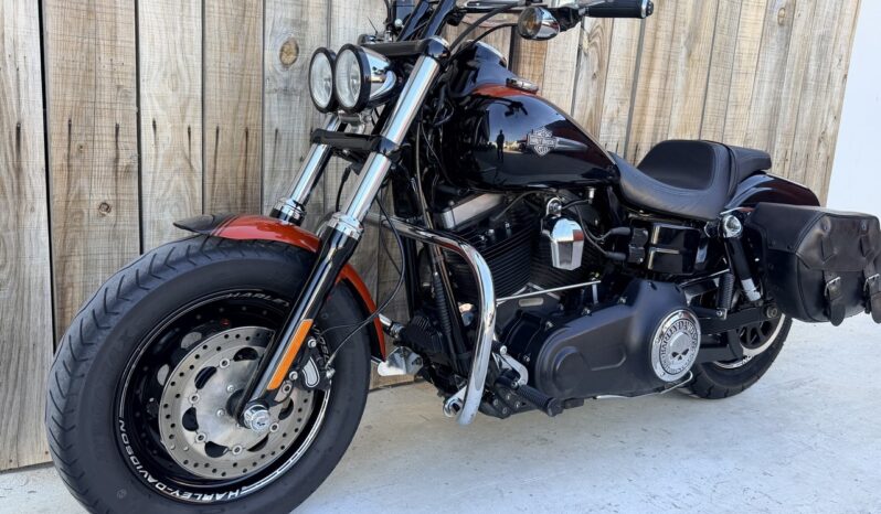HARLEY DAVIDSON DYNA FAT BOB lleno