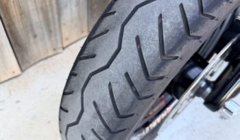 HARLEY DAVIDSON DYNA FAT BOB lleno