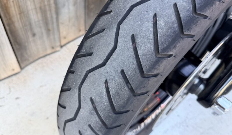 HARLEY DAVIDSON DYNA FAT BOB lleno