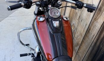 HARLEY DAVIDSON DYNA FAT BOB lleno