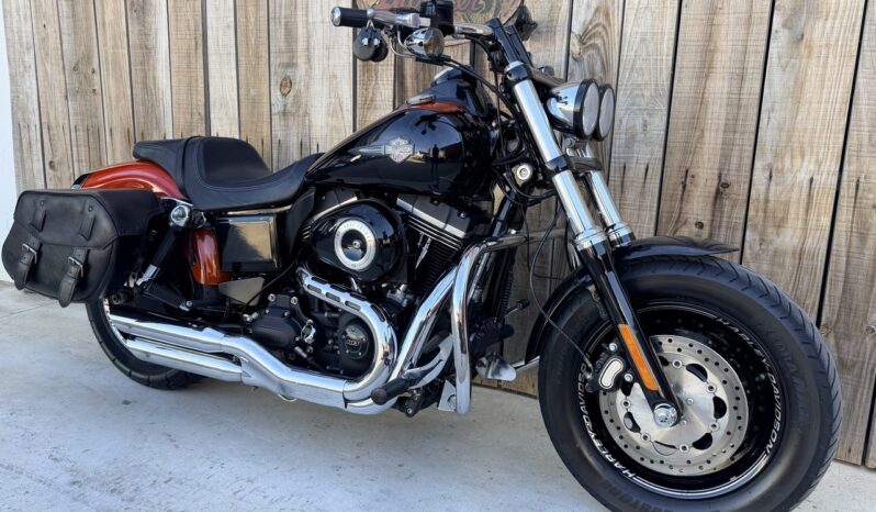 HARLEY DAVIDSON DYNA FAT BOB lleno