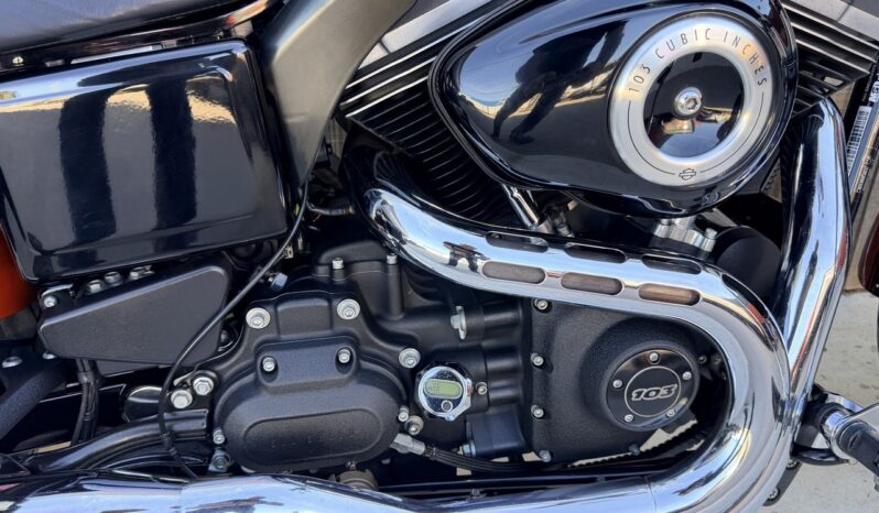 HARLEY DAVIDSON DYNA FAT BOB lleno