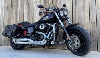 HARLEY DAVIDSON DYNA FAT BOB lleno