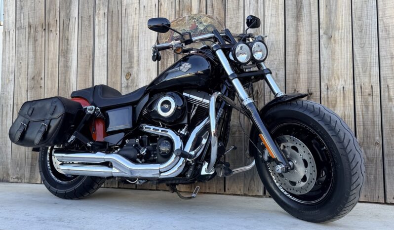 HARLEY DAVIDSON DYNA FAT BOB lleno