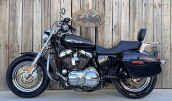 HARLEY DAVIDSON XL1200 CUSTOM lleno