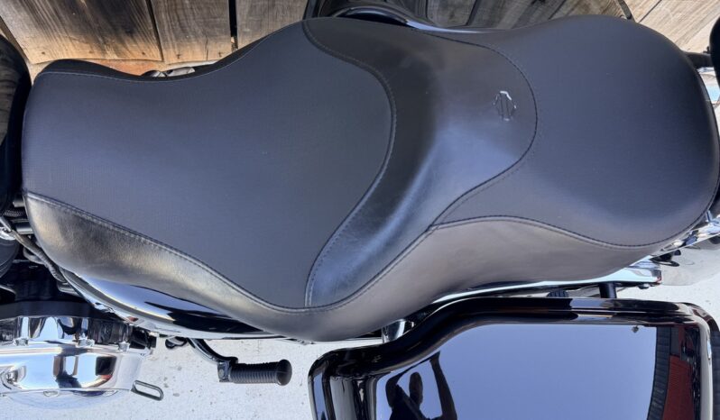 HARLEY DAVIDSON XL1200 CUSTOM lleno